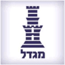 מגדל חברה לביטוח